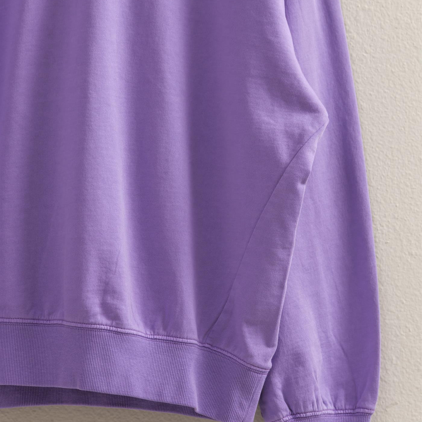 Wholesale Warm Long Sleeve French Terry Sweatshirt Sweatshirts DZ25C733 WISTERIA HYFVE