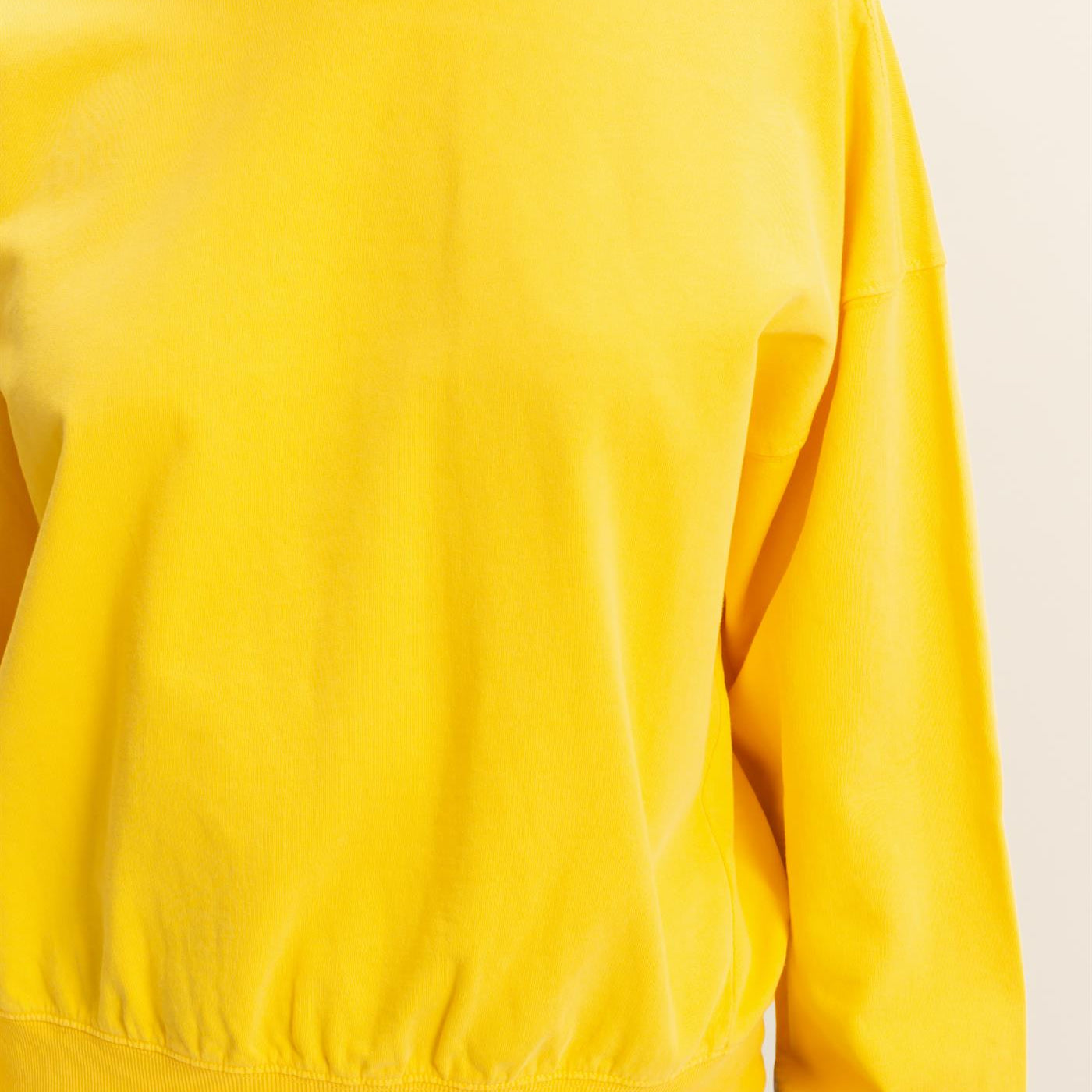 Wholesale Warm Long Sleeve French Terry Sweatshirt Sweatshirts DZ25C733 SUNFLOWER HYFVE
