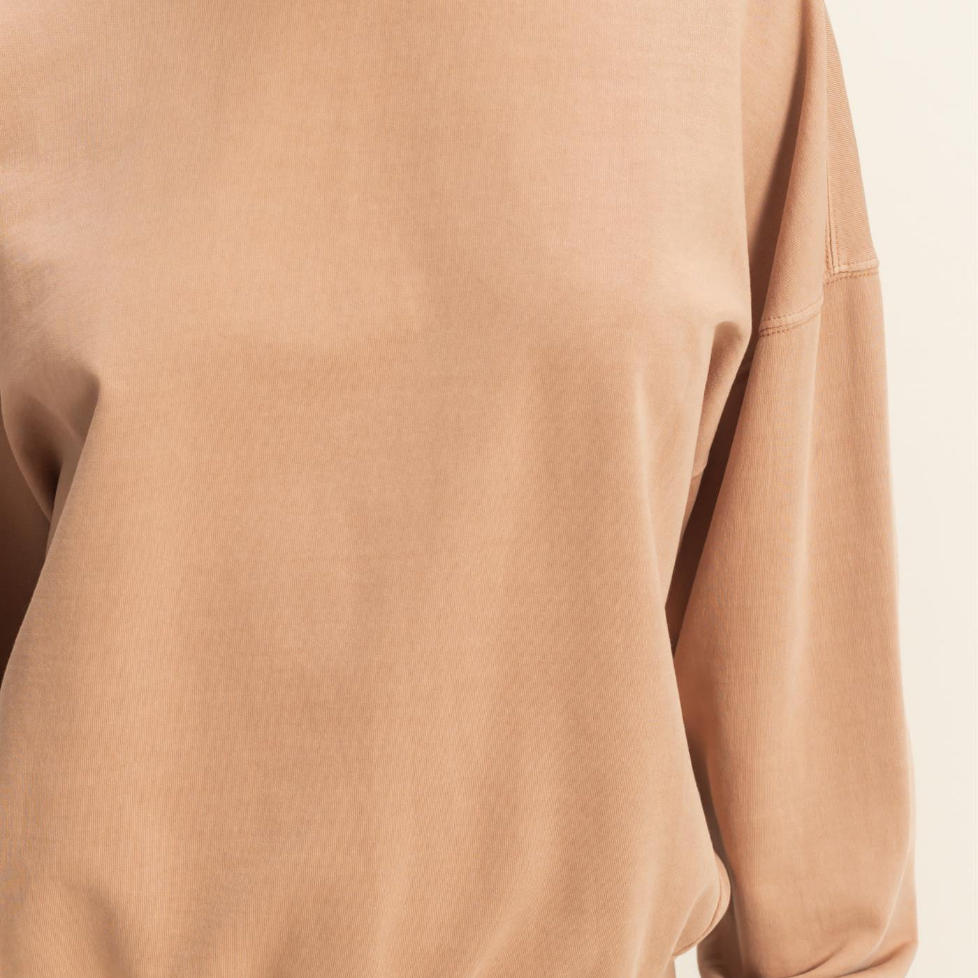 Wholesale Warm Long Sleeve French Terry Sweatshirt Sweatshirts DZ25C733 DARK TAUPE HYFVE