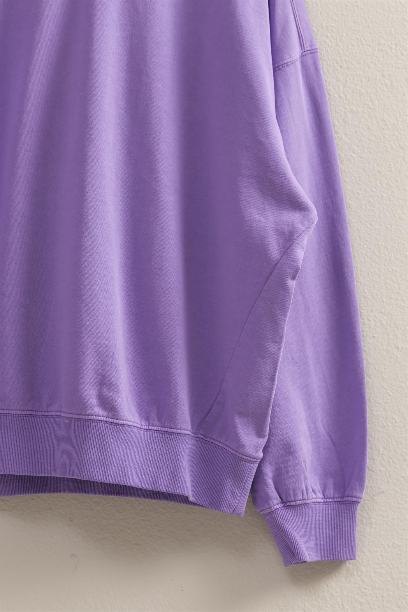 Wholesale Warm Long Sleeve French Terry Sweatshirt Sweatshirts DZ25C733 WISTERIA HYFVE