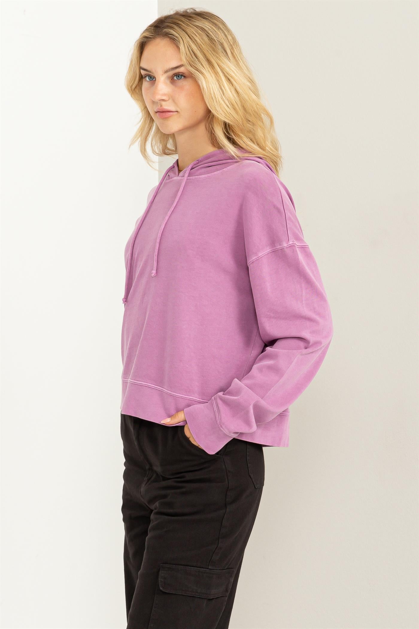 Wholesale Long Sleeve Drawstring Hoodie Clothing Tops DZ23E999 VINTAGE PLUM DOUBLE ZERO