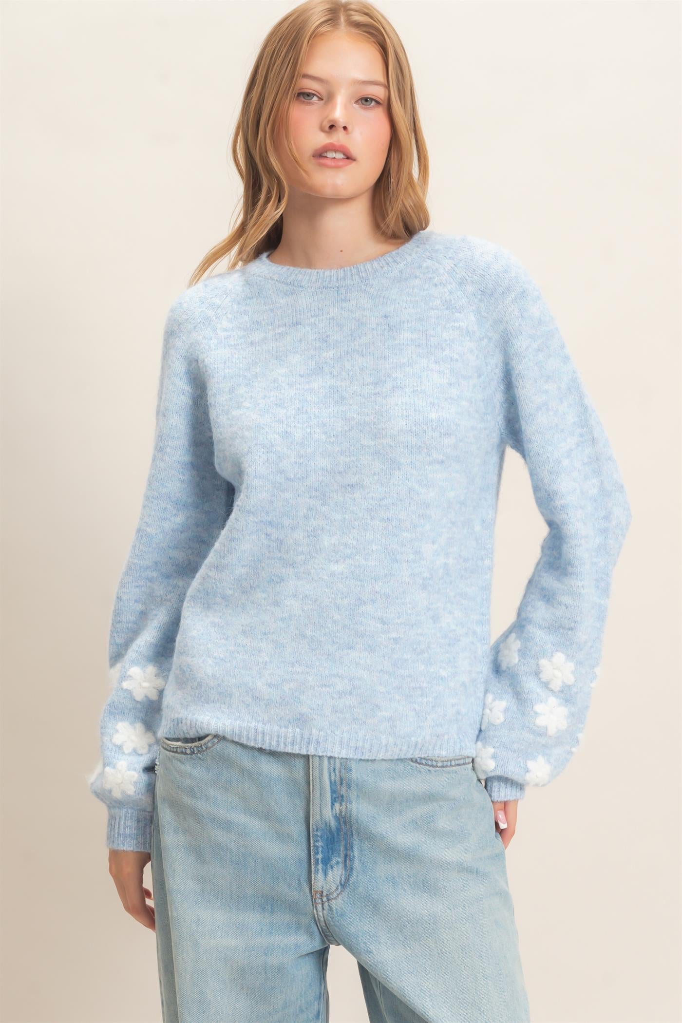 Wholesale Floral Applique Raglan Sleeve Sweater Sweaters HF26E808 MISTY BLUE HYFVE
